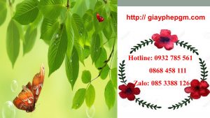 Thành lập công ty giá rẻ tại Đồng Tháp 6 Điều kiện thành lập công ty giá rẻ tại Đồng Tháp