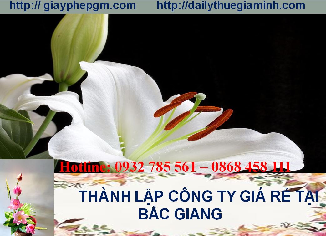 Thành lập công ty giá rẻ tại Bắc Giang 4 Thủ tục thành lập công ty giá rẻ tại Bắc Giang