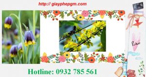 Thành lập công ty giá rẻ tại Bắc Giang 6 Thành lập công ty nhanh 2023 tại Bắc Giang