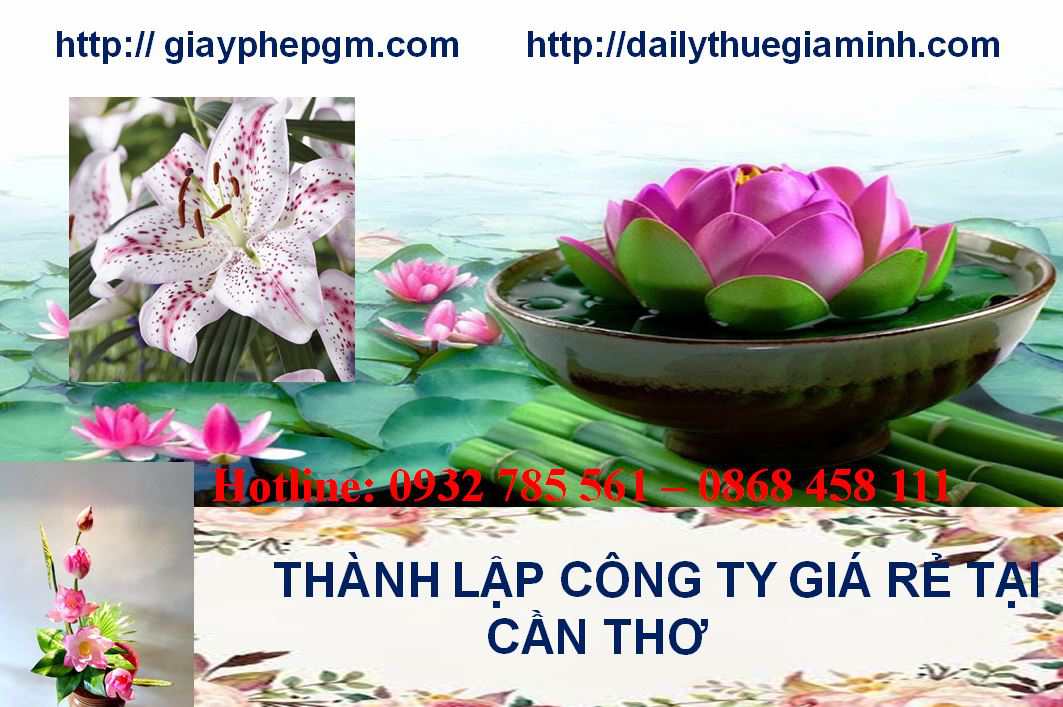 Thành lập công ty giá rẻ tại Cần Thơ 4 Thủ tục thành lập công ty giá rẻ tại Cần Thơ