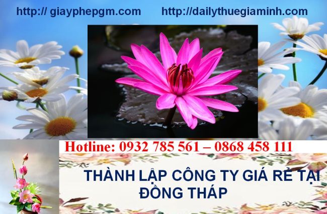 Thành lập công ty giá rẻ tại Đồng Tháp 4 Thủ tục thành lập công ty giá rẻ tại Đồng Tháp