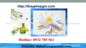 Thành lập công ty giá rẻ tại Hải Dương 6 Cần thành lập công ty tạo Hải Dương