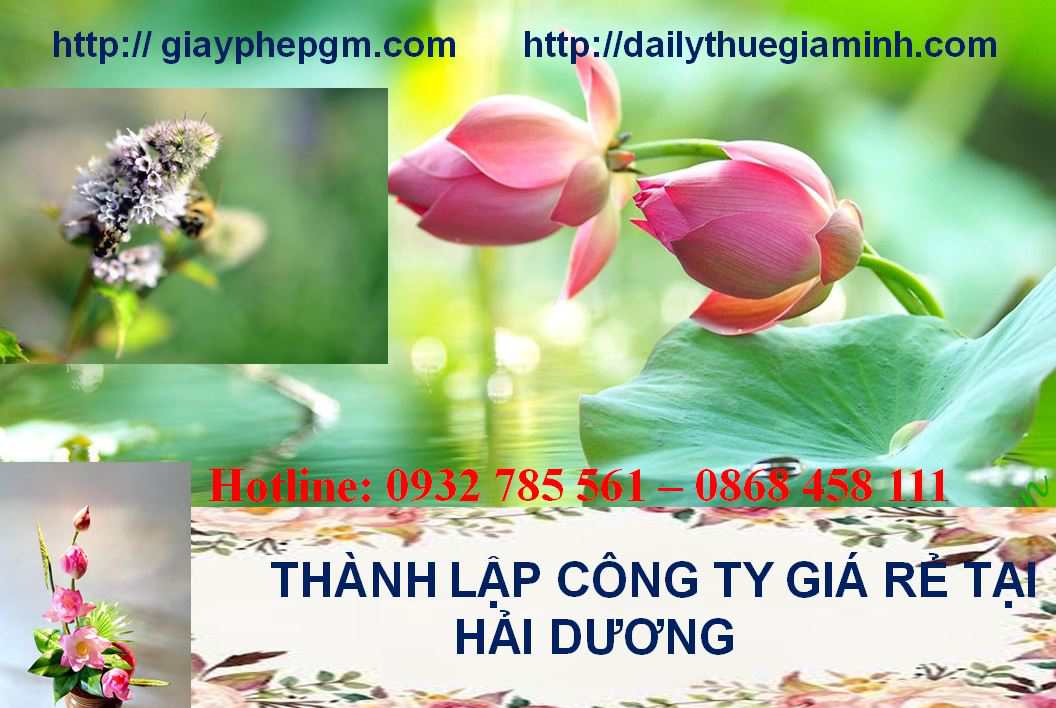 Thành lập công ty giá rẻ tại Hải Dương 4 Thành lập doanh nghiệp giá rẻ tại Hải Dương