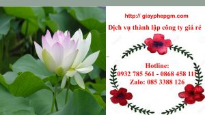 Thành lập công ty giá rẻ tại Khánh Hòa 6 Cần dịch vụ thành lập công ty tại Khánh Hòa trọn gói