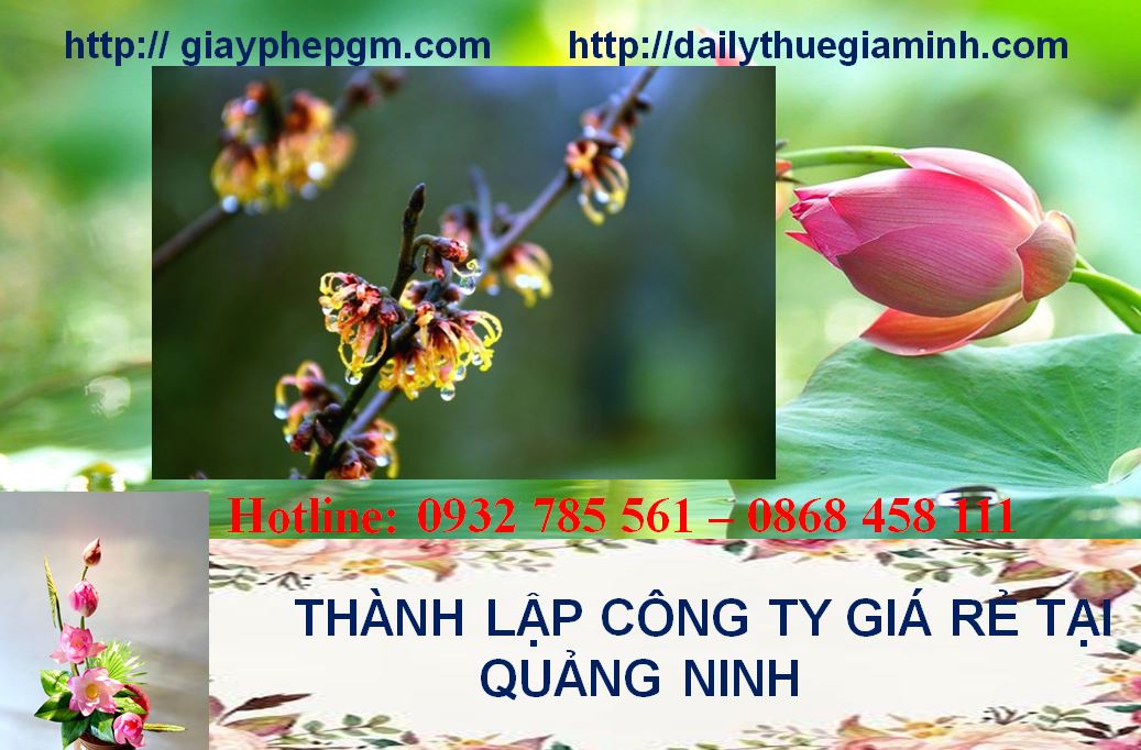 Thành lập công ty giá rẻ tại Quảng Ninh 4 Thành lập doanh nghiệp giá rẻ tại Quảng Ninh