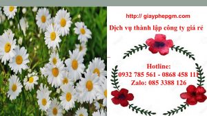 Thành lập công ty giá rẻ tại Quảng Ninh 6 Cần thành lập công ty tại Quảng Ninh