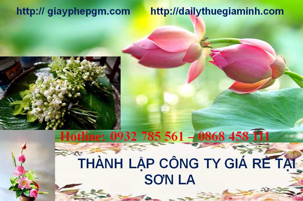 Thành lập công ty giá rẻ tại Sơn La 4 Thành lập doanh nghiệp giá rẻ tại Sơn La
