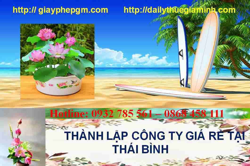 Thành lập công ty giá rẻ tại Thái Bình 4 Thành lập doanh nghiệp giá rẻ tại Thái Bình