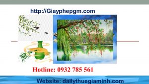 Thành lập công ty giá rẻ tại Vĩnh Phúc 6 Cần thành lập công ty tại Vĩnh Phúc