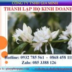 Thủ tục thành lập hộ kinh doanh