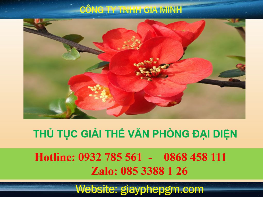 Thủ Tục Giải Thể Văn Phòng Đại Diện: Quy Trình, Hồ Sơ và Chi Phí Mới Nhất 8 Dịch vụ giải thể văn phòng đại diện