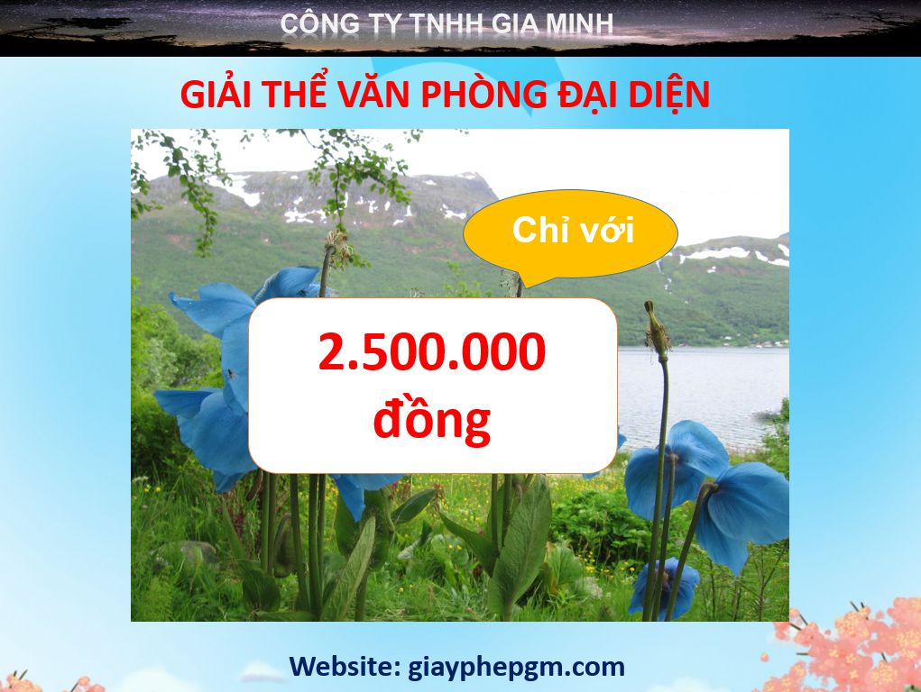 Thủ tục giải thể văn phòng đại diện tại Huyện Mỹ Đức - Hà Nội 5 Thủ tục giải thể văn phòng đại diện