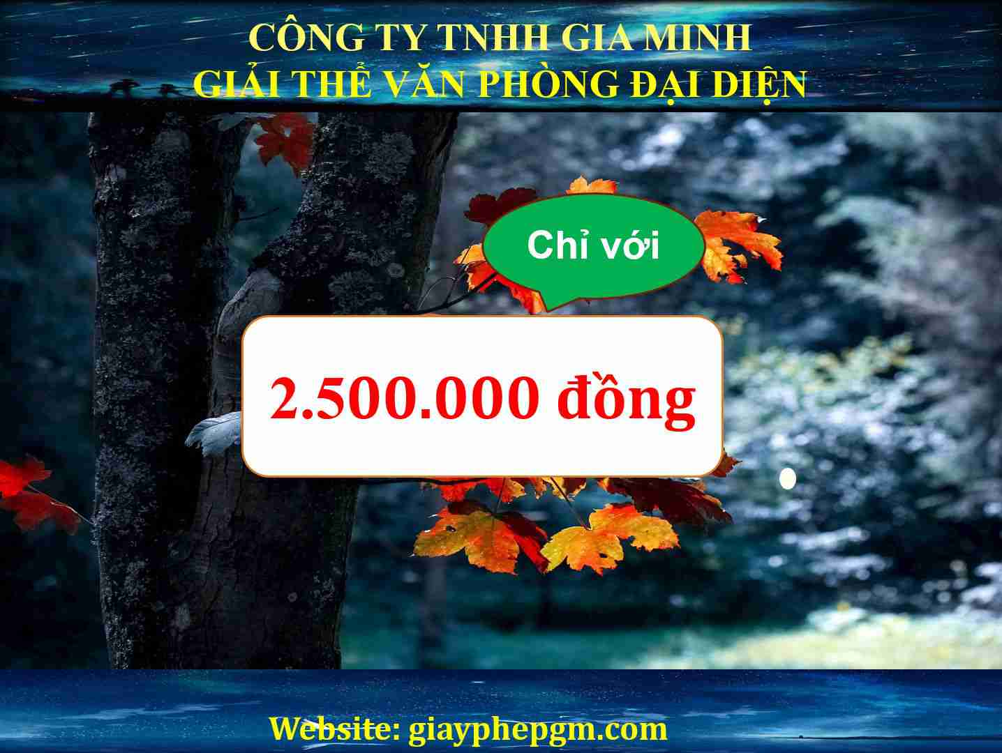 Thủ tục giải thể văn phòng đại diện tại Huyện Phong Điền - Cần Thơ 5 Thủ tục giải thể văn phòng đại diện tại Huyện Phong Điền
