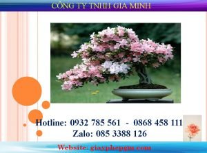 Thủ tục xin giấy phép hoạt động phòng khám chuyên khoa