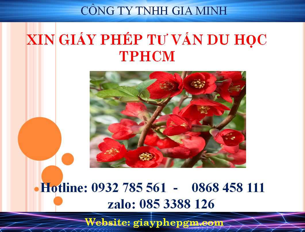 Xin giấy phép tư vấn du học TPHCM 4 Đăng ký giấy phép tư vấn du học TPHCM