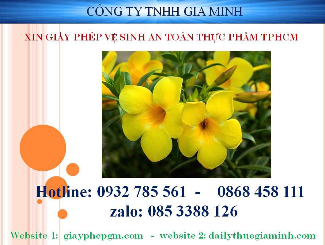 "Thủ