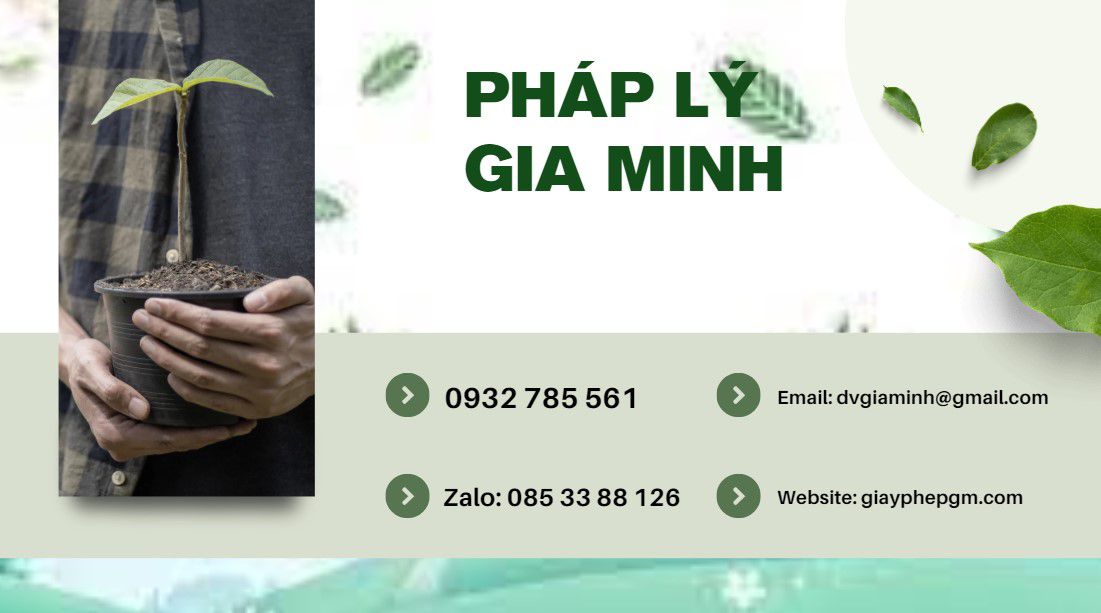 Thủ Tục Giải Thể Văn Phòng Đại Diện: Quy Trình, Hồ Sơ và Chi Phí Mới Nhất 9 Hồ sơ giải thể văn phòng đại diện