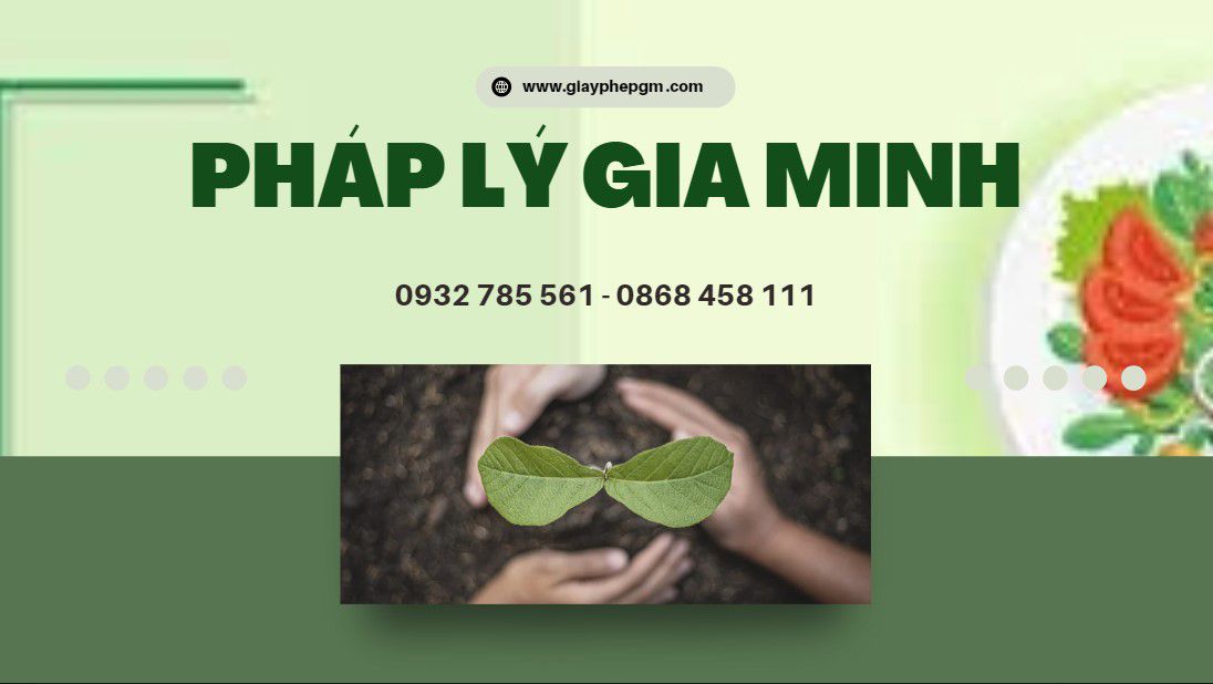 Dịch vụ mở nhà thuốc tại Cần Thơ 11 Mô hình nhà thuốc tại cần thơ