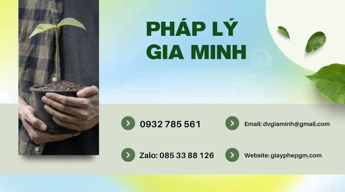 Thủ Tục Giải Thể Văn Phòng Đại Diện: Quy Trình, Hồ Sơ và Chi Phí Mới Nhất 12 Tư vấn giải thể văn phòng đại diện