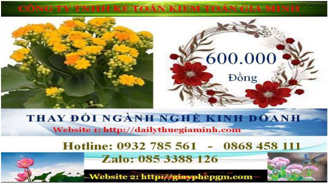 Thay đổi ngành nghề kinh doanh Phú Thọ 5 Chi phí thay đổi ngành nghề kinh doanh tại Phú Thọ