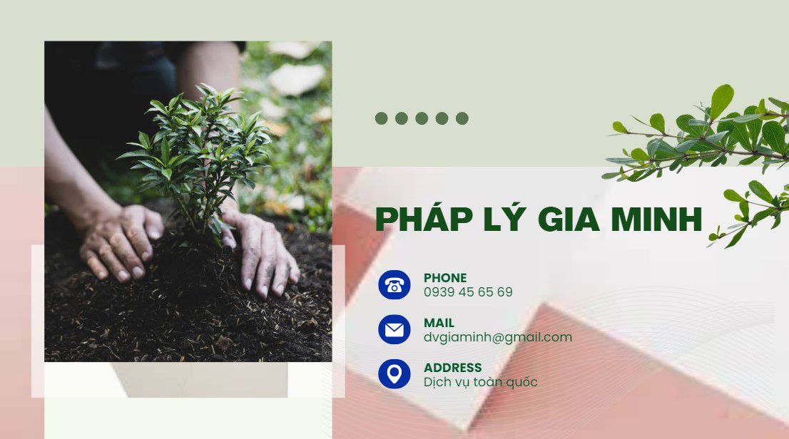 Dịch vụ mở công ty ở Cần Thơ 14 Dịch vụ đăng ký kinh doanh tại Cần Thơ