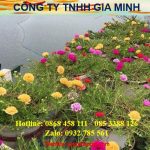 Giải thể chi nhánh tại Huyện Thạch Thất - Hà Nội 6 Cần giải thể chi nhánh tại Huyện Thạch Thất