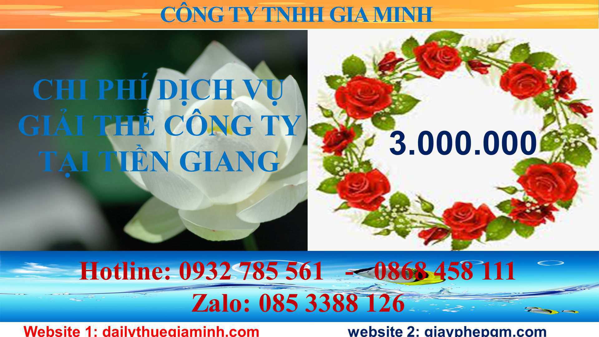 Dịch vụ giải thể công ty tại Tiền Giang 5 Chi phí giải thể công ty tại Tiền Giang