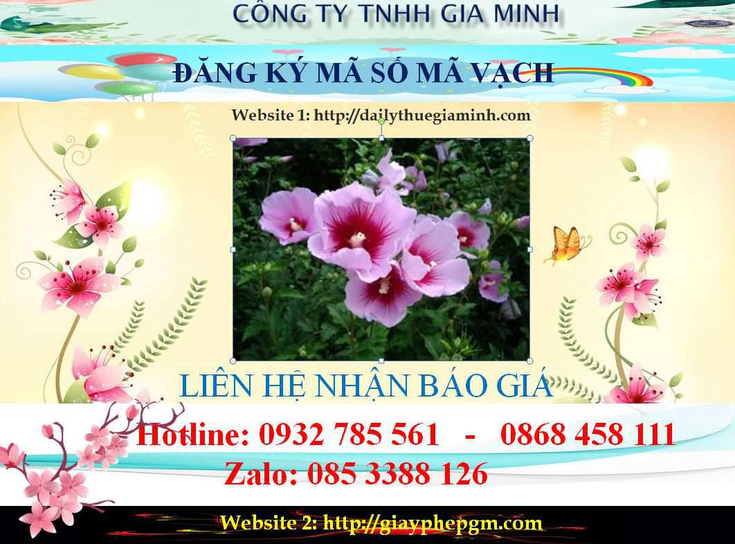 Chi phí đăng ký mã vạch