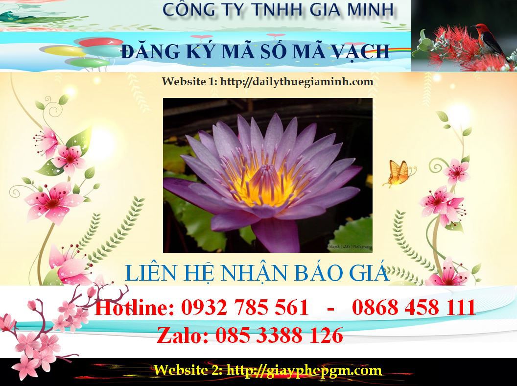 Đăng ký mã vạch tại Hải Dương 11 Chi phí đăng ký mã vạch
