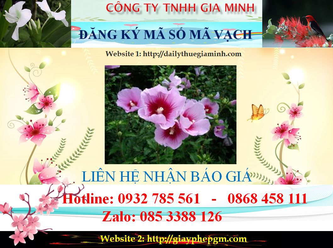 Chi phí đăng ký mã vạch