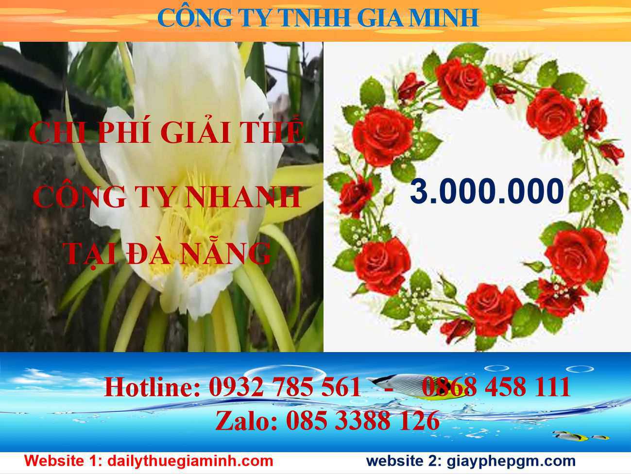 Giải Thể Công Ty Nhanh Tại Đà Nẵng – Dịch Vụ Uy Tín, Trọn Gói 5 Chi phí giải thể công ty nhanh tại Đà nẵng