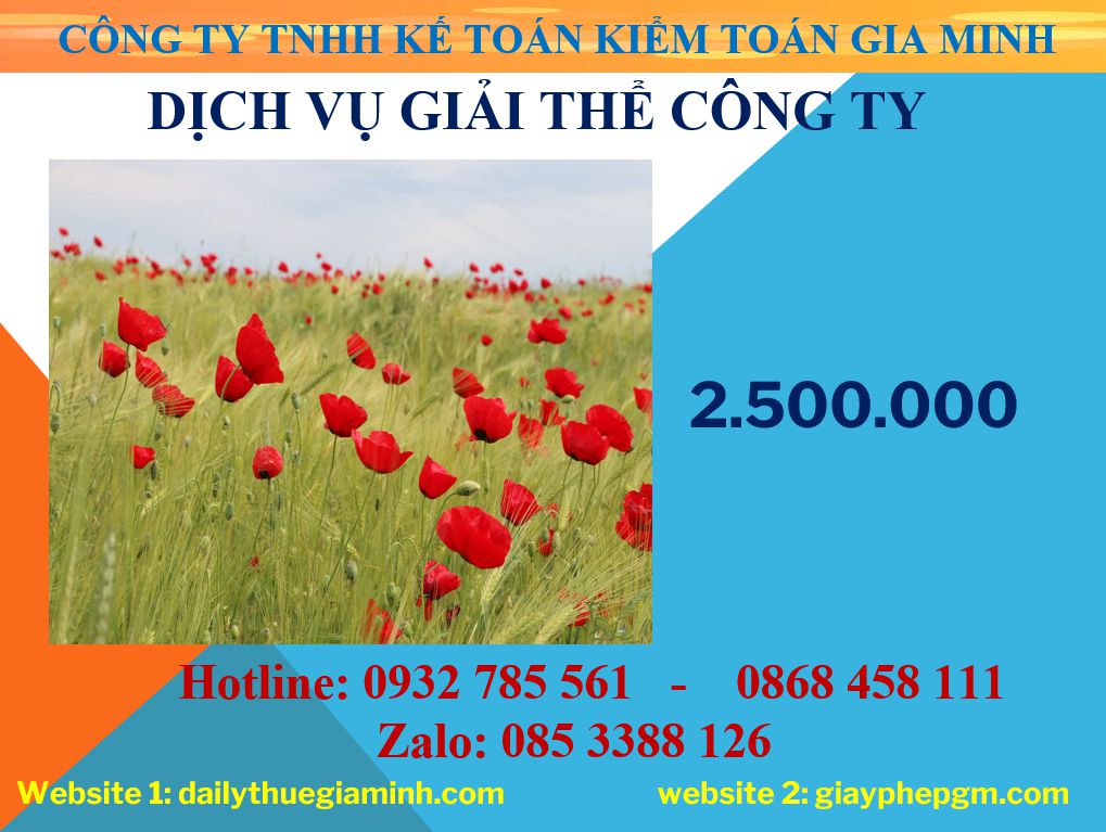 Giải thể công ty ở Bình Định 2 Chi phí giải thể công ty ở Bình Định