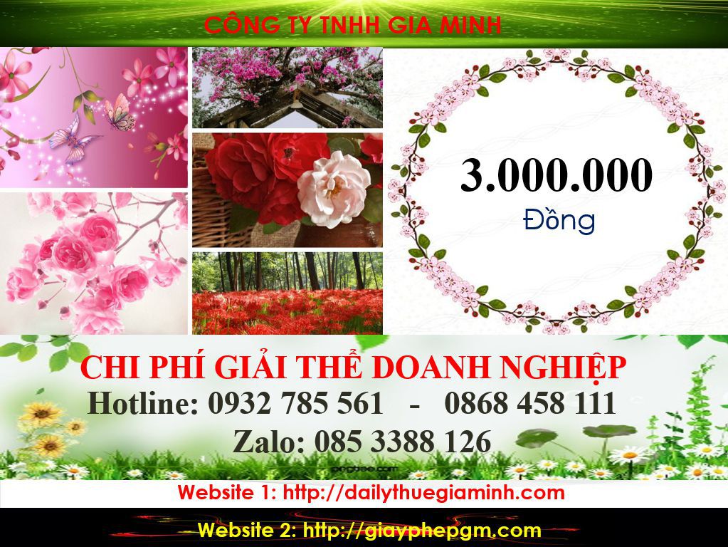 Thủ tục giải thể doanh nghiệp tại Hải Dương 12 Chi phí giải thể công ty tại Hải Dương
