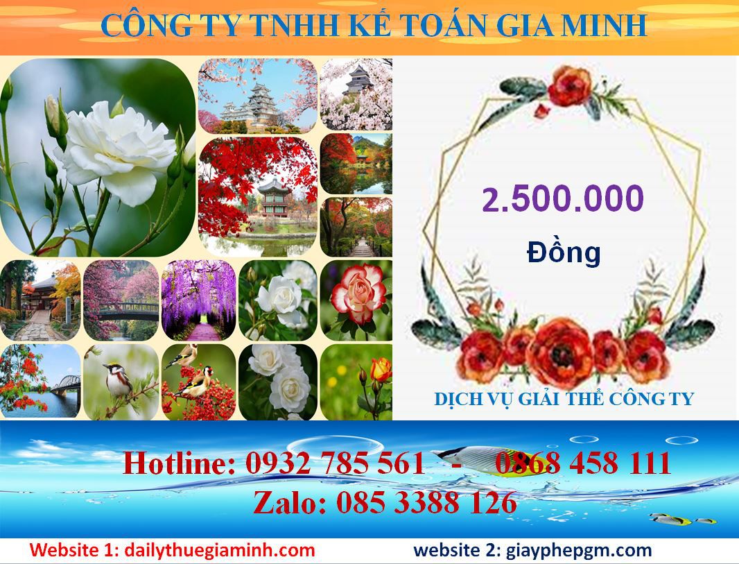 Giải thể công ty ở Huế 2 Chi phí giải thể công ty ở Huế