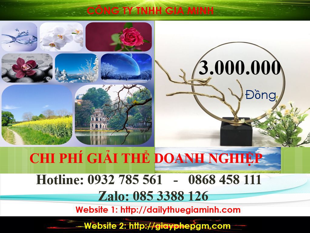 Thủ tục giải thể doanh nghiệp tại Kiên Giang 2 Chi phí giải thể công ty tại Kiên Giang