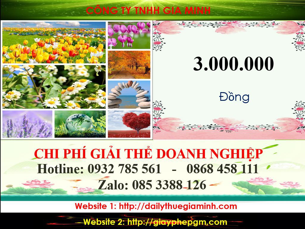 Thủ tục giải thể doanh nghiệp Lào Cai 5 Chi phí giải thể công ty tại Lào Cai