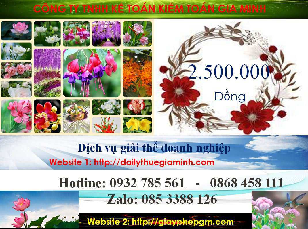 Giải thể công ty Quận Bình Thạnh