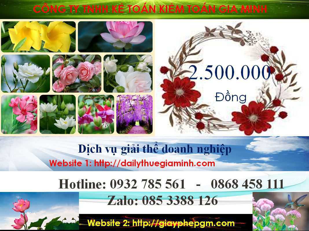 Chi phí giải thể công ty ở Thành Phố Thủ Dầu Một