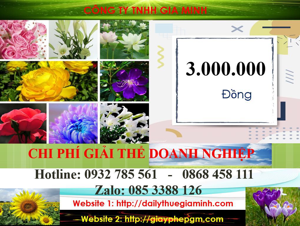 Thủ tục giải thể doanh nghiệp tại Tiền Giang 5 Chi phí giải thể công ty tại Tiền Giang