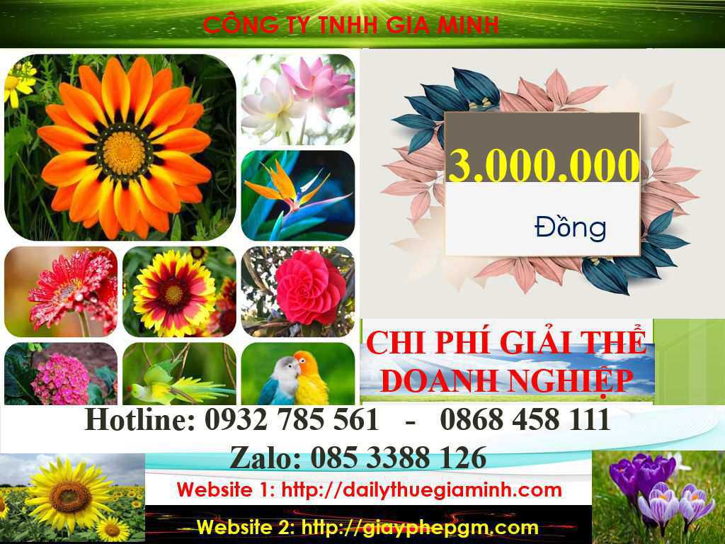 Thủ tục giải thể doanh nghiệp tại Thành Phố Hồ Chí Minh 5 Chi phí giải thể công ty tại Thành Phố Hồ Chí Minh