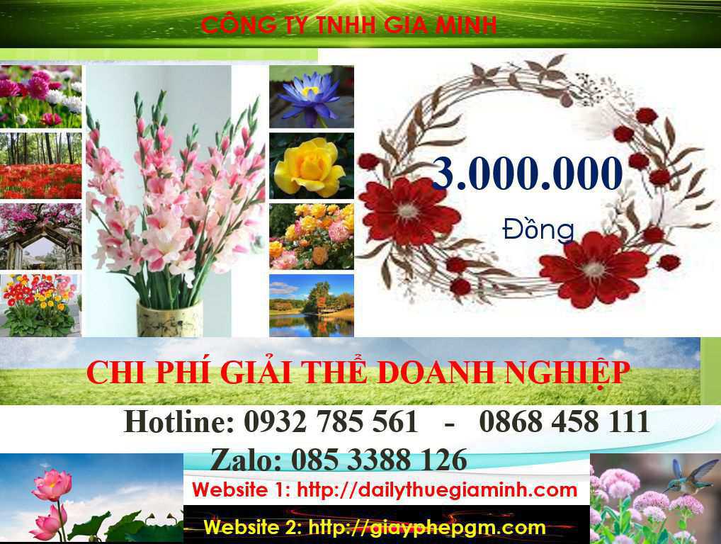 Thủ tục giải thể doanh nghiệp tại TPHCM 2 Chi phí giải thể công ty tại TPHCM