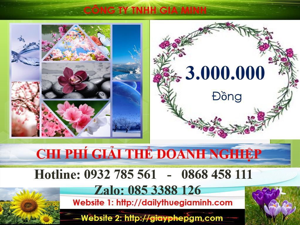 Thủ tục giải thể doanh nghiệp tại Vĩnh Phúc 5 Chi phí giải thể công ty tại Vĩnh Phúc