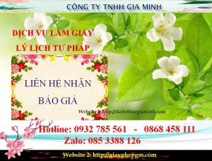 giayphepgm.com chi phi lam giay ly lich tu phap tai tai ha noi