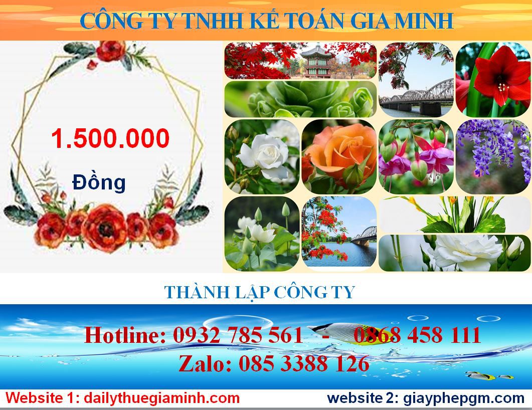 Chi phí mở công ty ở Bắc Kạn