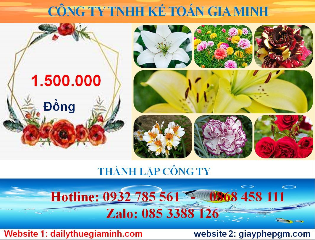 Dịch vụ mở công ty ở Bến Tre 5 Chi phí mở công ty ở Bến Tre