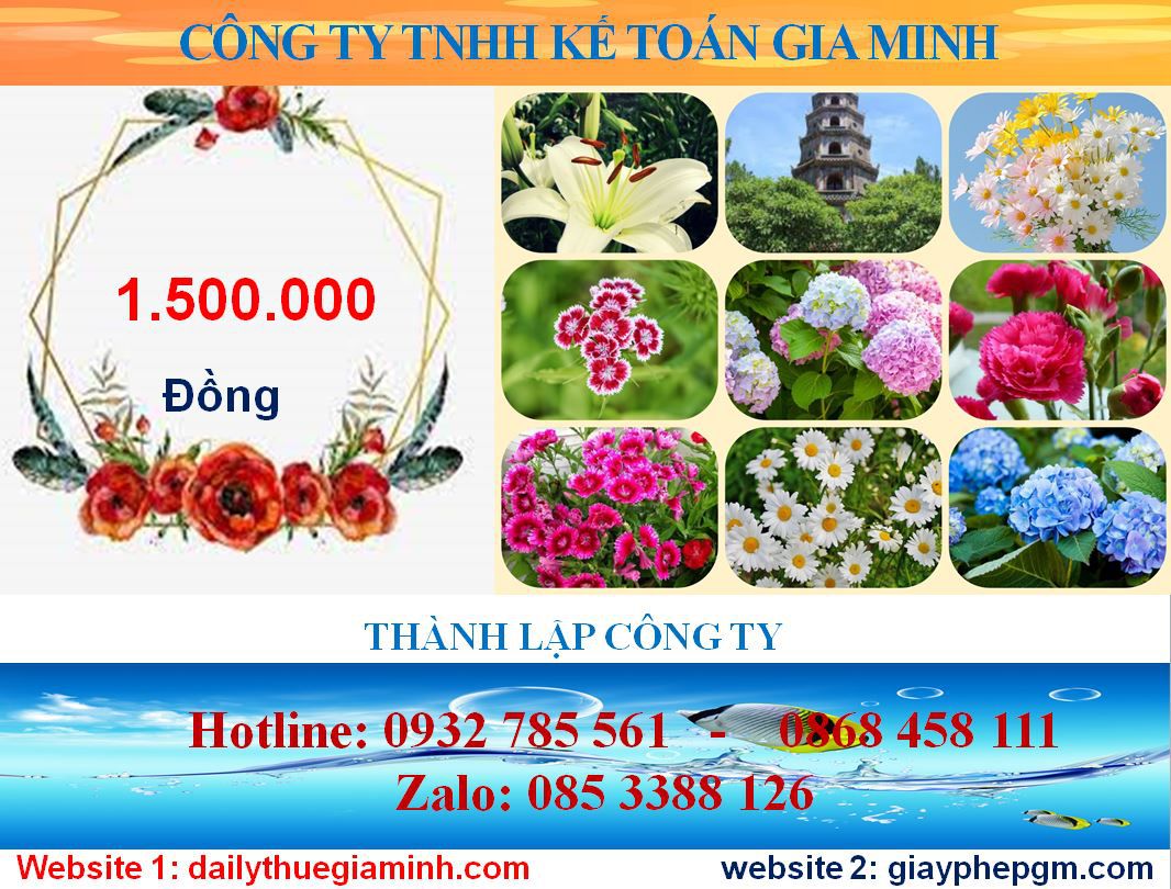 Chi phí mở công ty ở Điện Biên