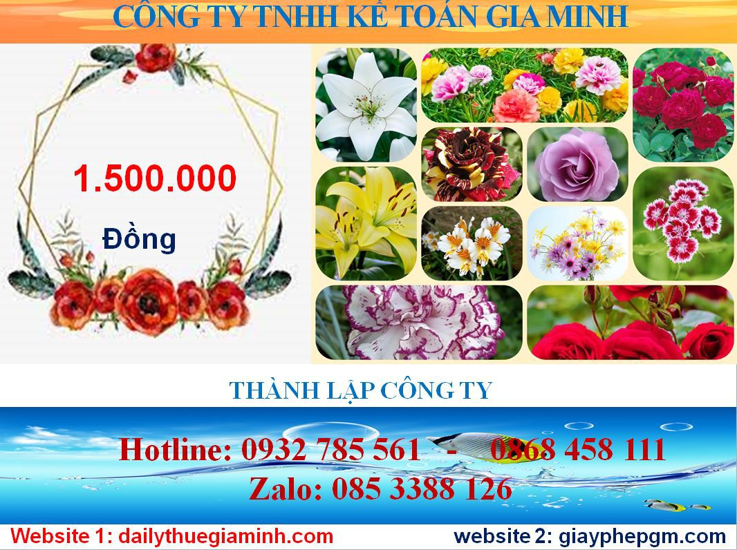 Chi phí mở công ty ở Huyện Bàu Bàng