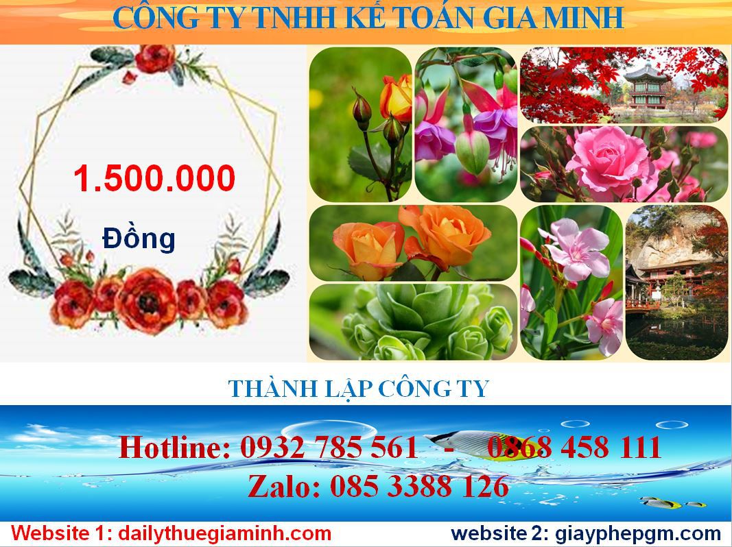 Chi phí mở công ty ở Huyện Bình Chánh