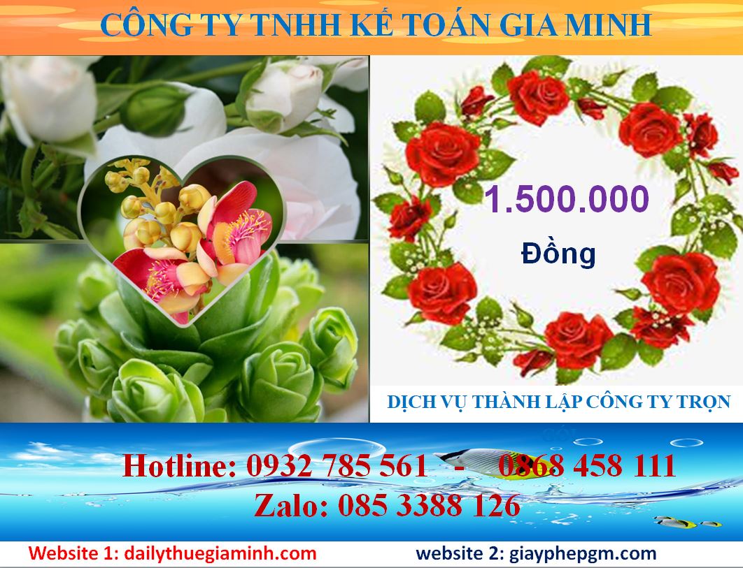 Dịch vụ mở công ty tại Bắc Giang 5 Chi phí thành lập công ty tại Bắc Giang