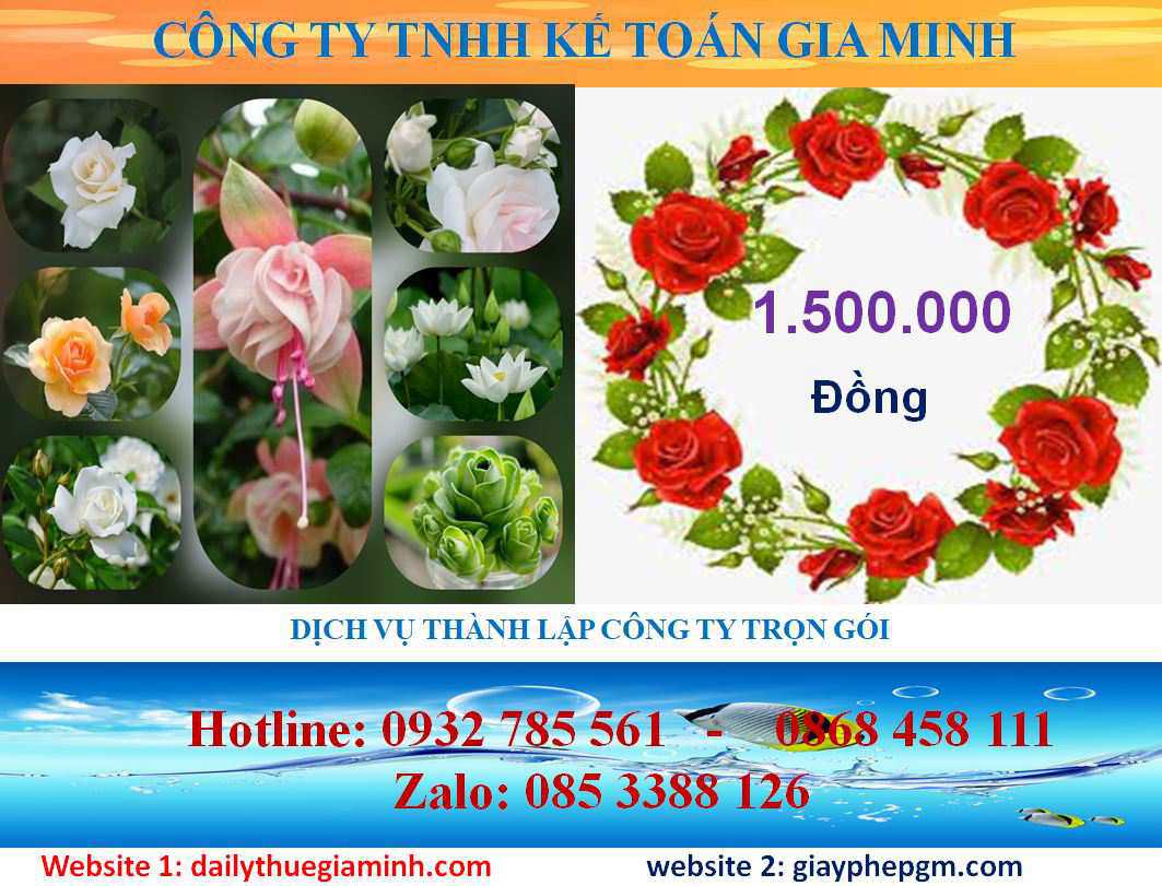 Dịch vụ mở công ty tại Quận 1 5 Chi phí thành lập công ty tại Quận 1